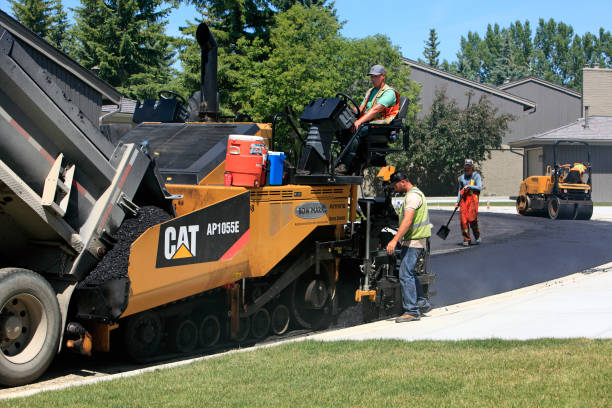 Best Residential driveway pavers in Royal Palm Estates, FL